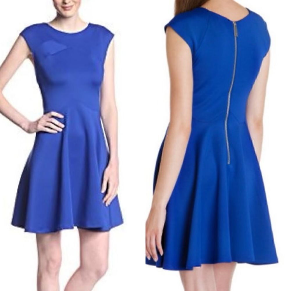 Ted Baker Arwyn Mini Blue Dress Cap Sleeve Size 4